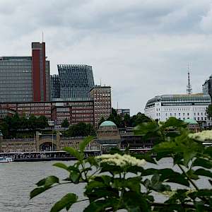 Deutsche Meisterschaften Senioren Juni 2017 Hamburg