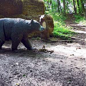 Aktueller Parcours in Bildern