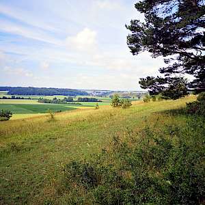 Aktueller Parcours in Bildern