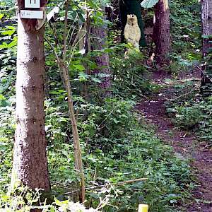 Aktueller Parcours in Bildern