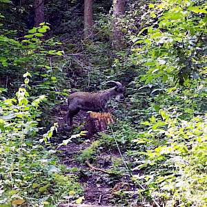 Aktueller Parcours in Bildern