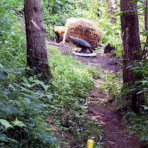 Aktueller Parcours in Bildern