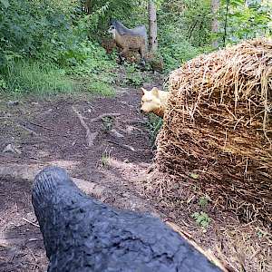 Aktueller Parcours in Bildern