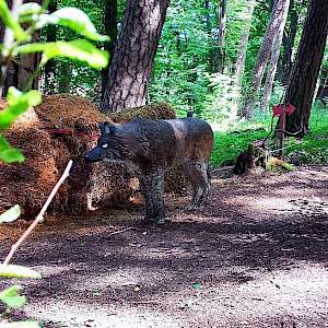 Aktueller Parcours in Bildern