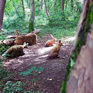 Aktueller Parcours in Bildern