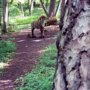 Aktueller Parcours in Bildern