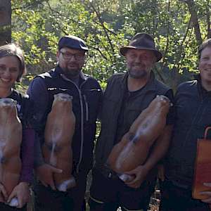 Traditionelles Bogenschießen - die Platzierungen im Finale der Steinbeißer Challenge