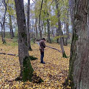 Ergebnisse & Bilder - 1. Holzbogen Turnier