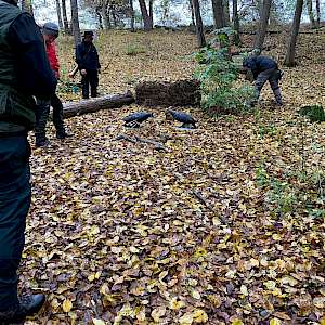 Ergebnisse & Bilder - 1. Holzbogen Turnier