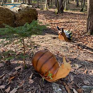 Parcoursumbau bei den Bogenschützen Hermaringen