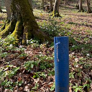 Parcoursumbau bei den Bogenschützen Hermaringen