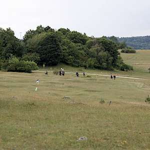 Bildergalerie - 1